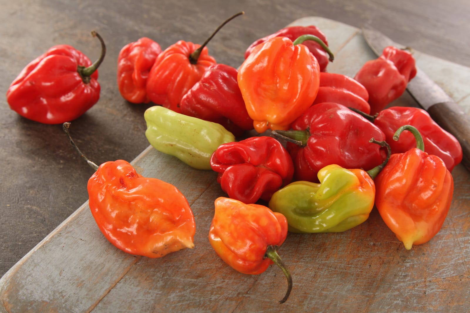 Comment Faire Apres Avoir Cueilli Les Piments