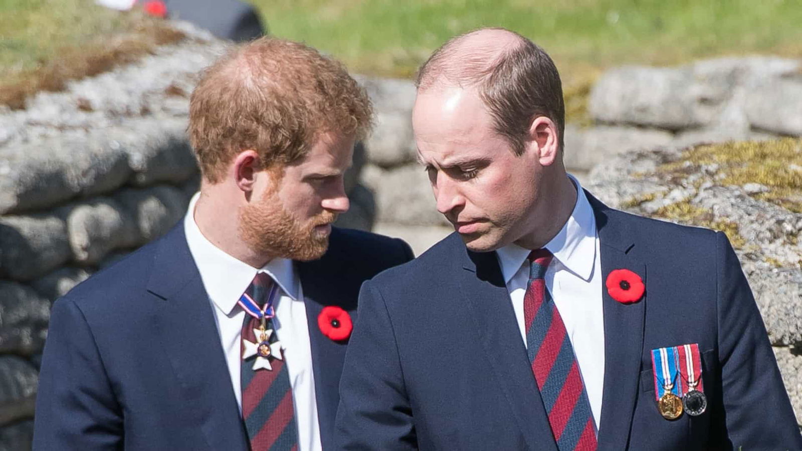 Dali Et Le Prince Arrogant Streaming Le prince Harry trop arrogant ? Le prince William pas tendre avec son