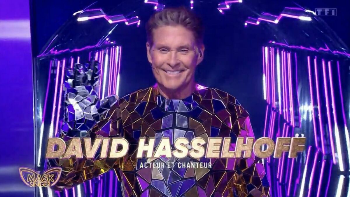 David Hasselhoff dans "Mask Singer " : une somme folle pour participer ...