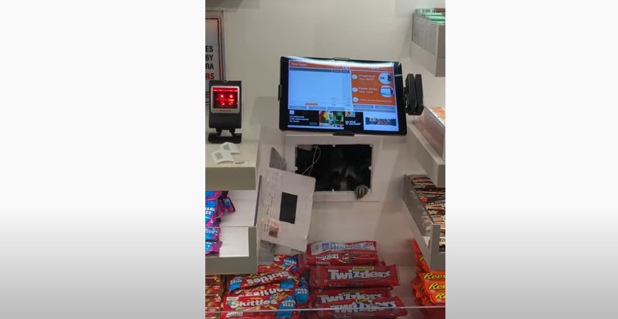 Un voleur pas comme les autres repéré à l'aéroport