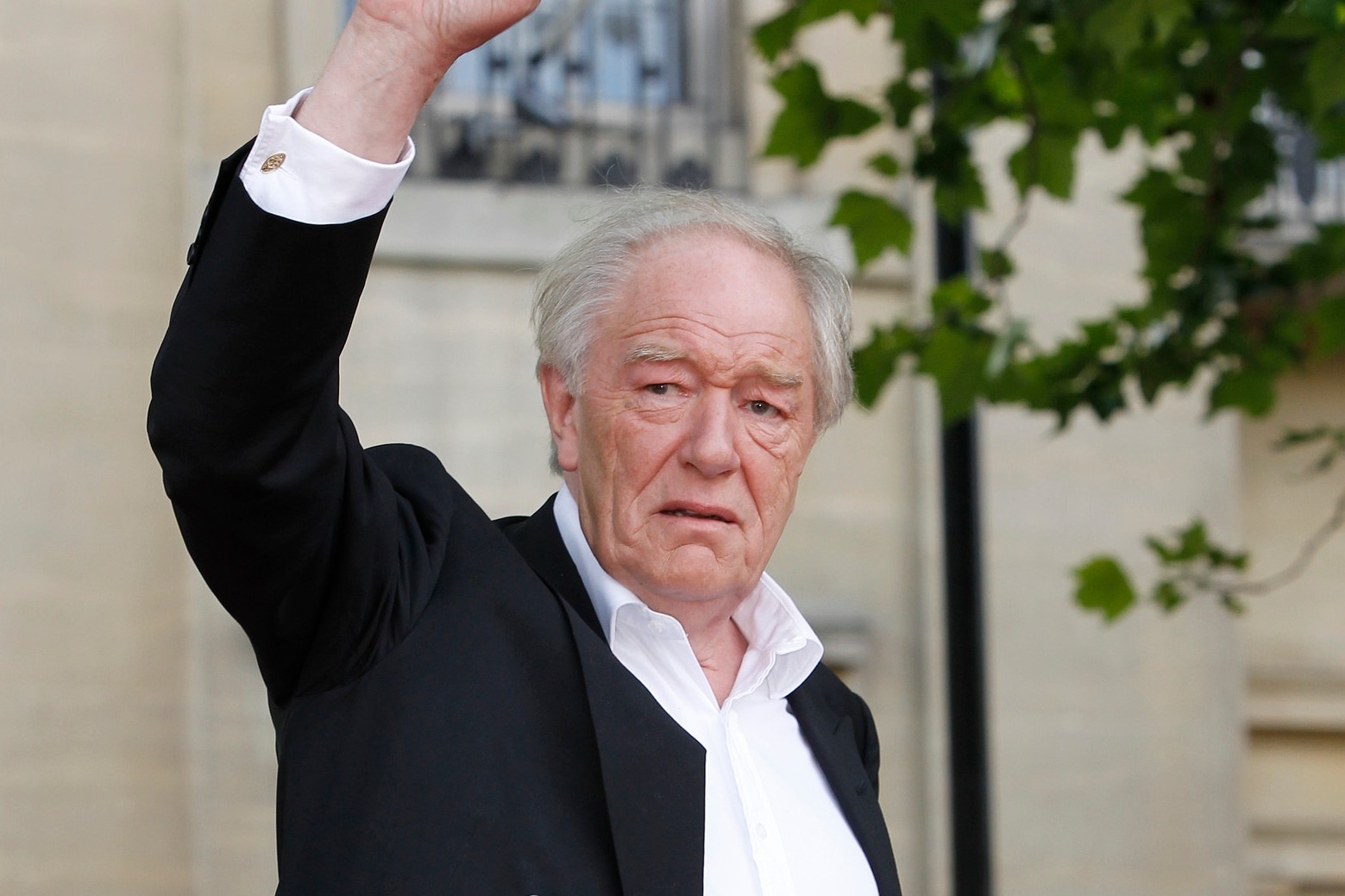 Mort De Michael Gambon Lacteur Qui Jouait Dumbledore Dans Harry